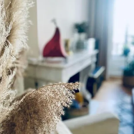 Le Questel Au Coeur De La Cite Romaine Avec Clim